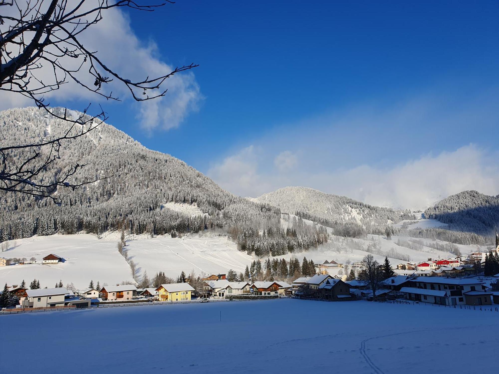 Boutique Hotel Alpenhof ซังต์ มาร์ติน อัม เทนเนนเกอเบียร์เกอ ภายนอก รูปภาพ